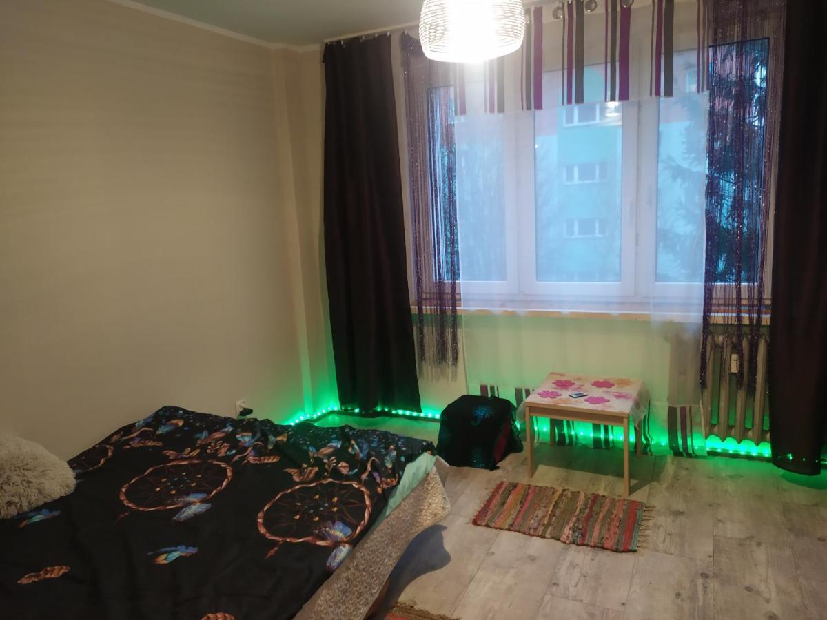 Studio Paderewskiego Jelenia Gora Luaran gambar